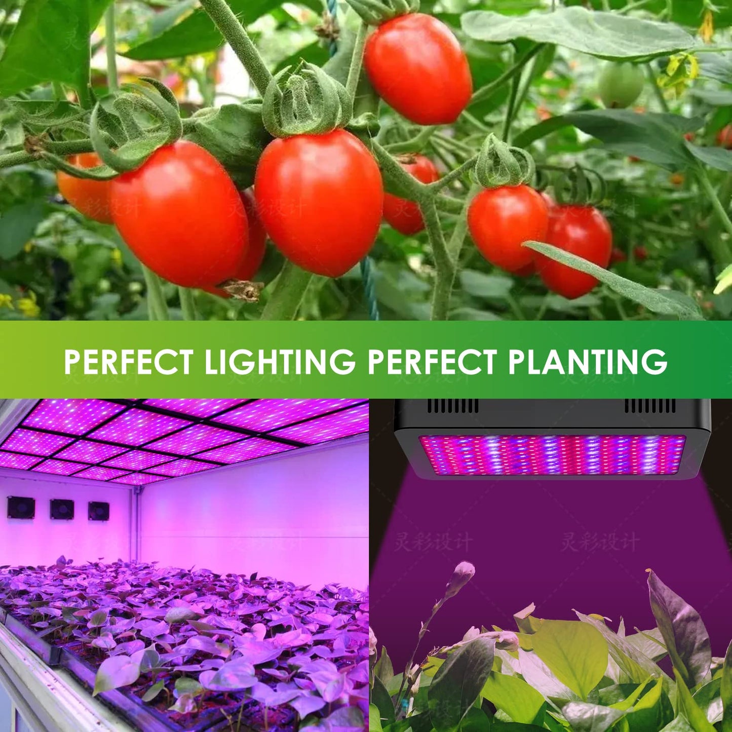 2000W LED Grow Light, Full Spectrum Plant Light with Daisy Chain, Grow Lights for Indoor Plants Greenhouse Hydroponic Growing Lamps with Veg Bloom Switch Coverage 5x5ft